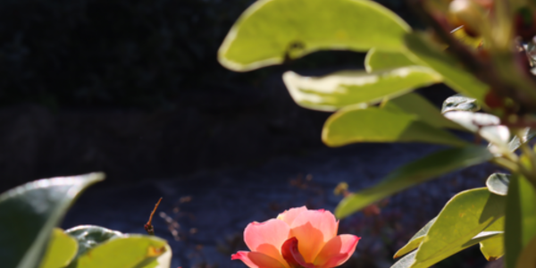 大伟设计丨北京湘粤茗宴餐厅